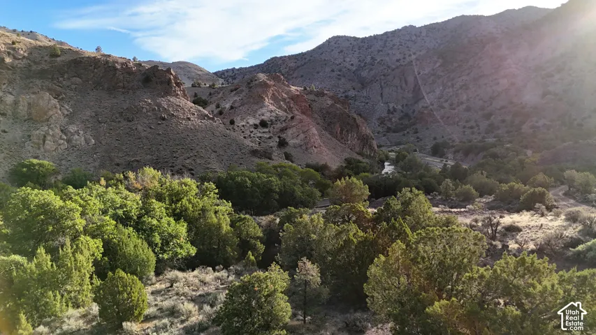 Expansive natural landscape with mountain terrain, mature trees, and a visible watercourse