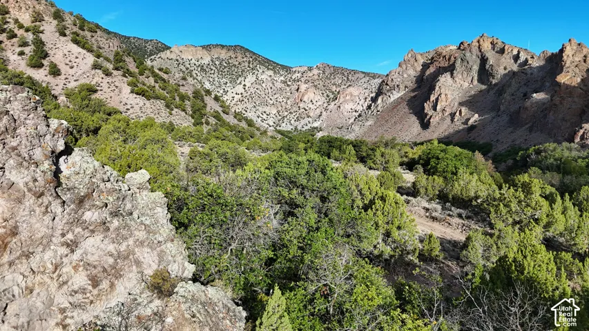 Rocky mountainous terrain with varied vegetation under a clear sky