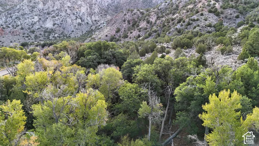 Additional content