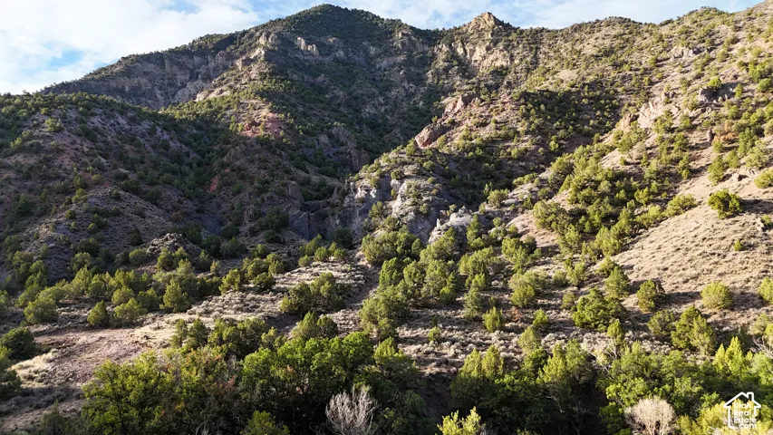 Mountainous terrain featuring diverse natural foliage and exposed rock formations
