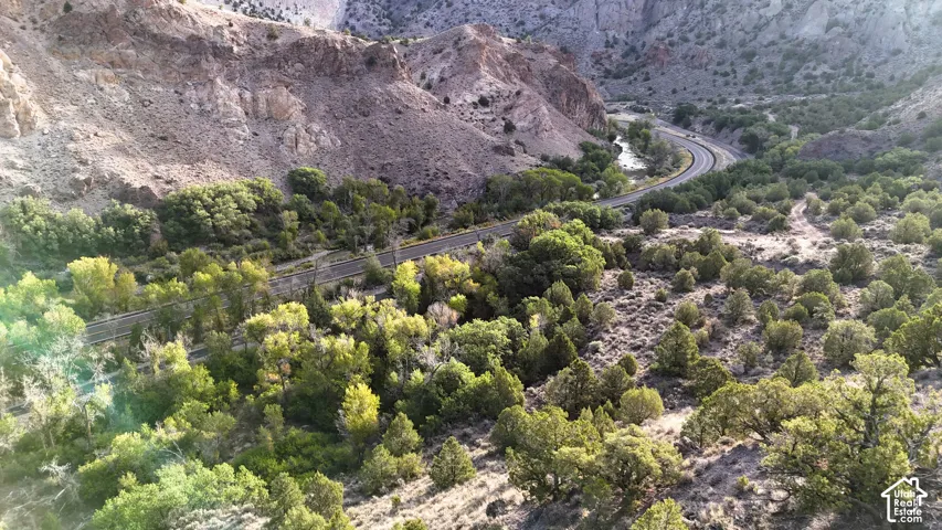 Winding road through a natural landscape, surrounded by mature trees and rugged mountains