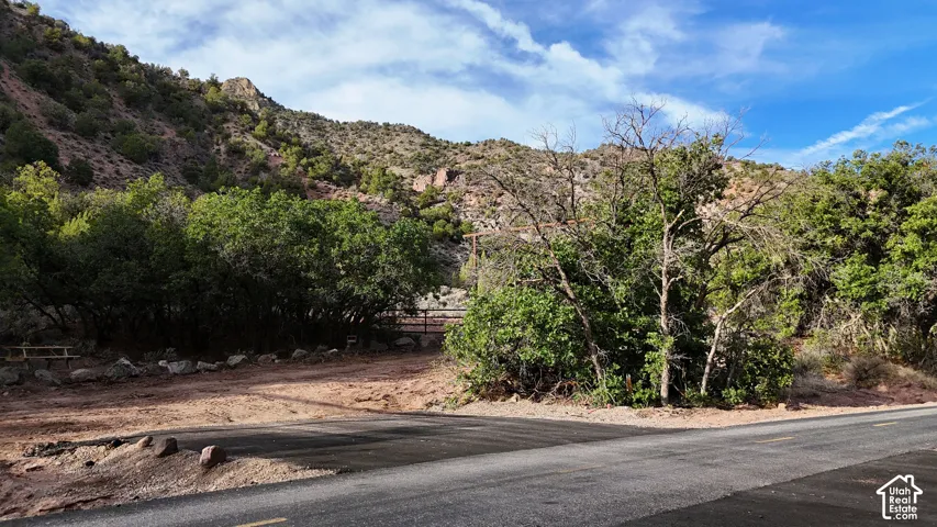 Paved road frontage with a natural landscape and verdant trees, bordered by a fence and a hillside