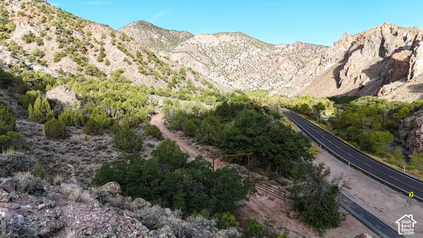 Mountainous terrain featuring diverse foliage, a paved road, and a winding dirt path