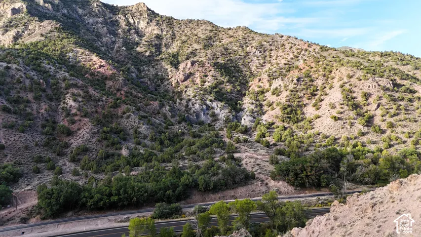 Mountainous terrain with lush vegetation