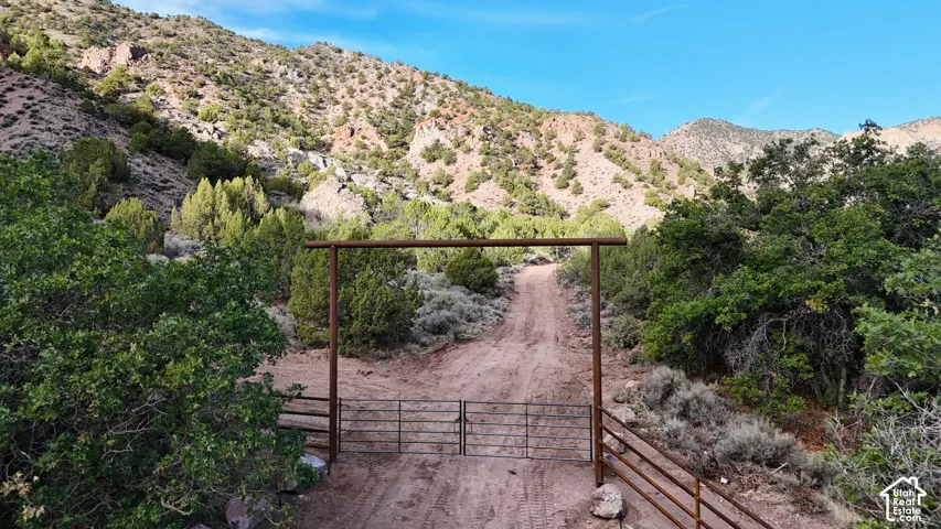 Rustic metal gate with a dirt road entry, framed by established trees and natural desert landscaping, set against a mountainous backdrop