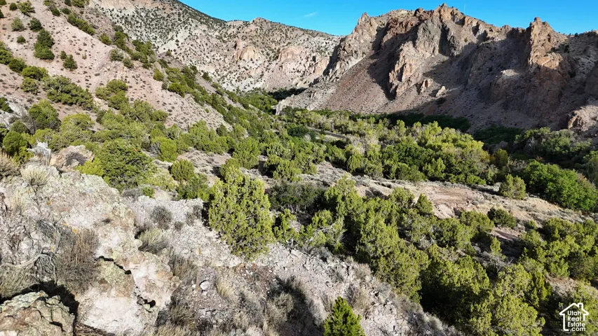 Natural desert landscape featuring various rock formations and mature green vegetation