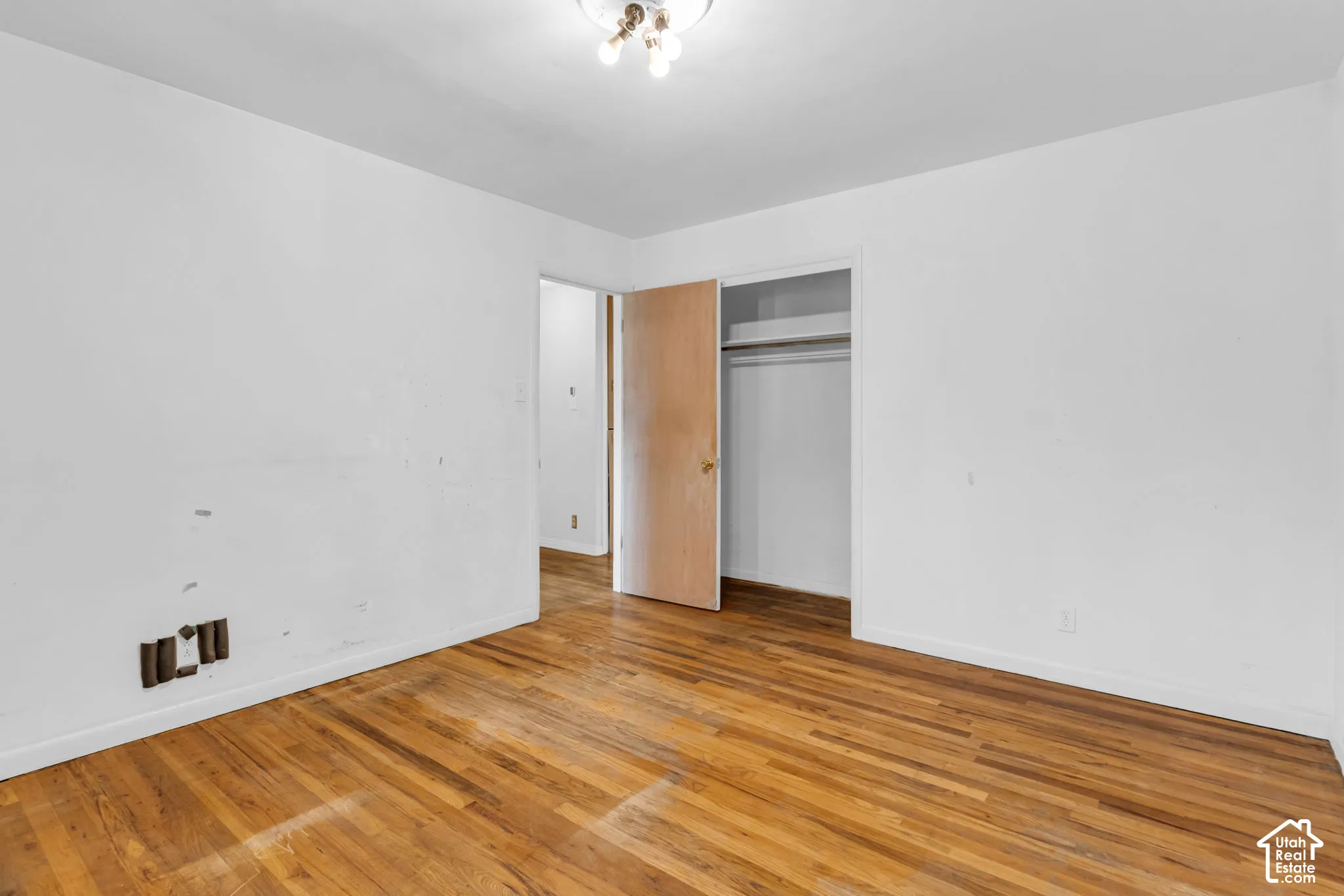 Hardwood flooring, recessed closet, flush mount ceiling light, white painted walls