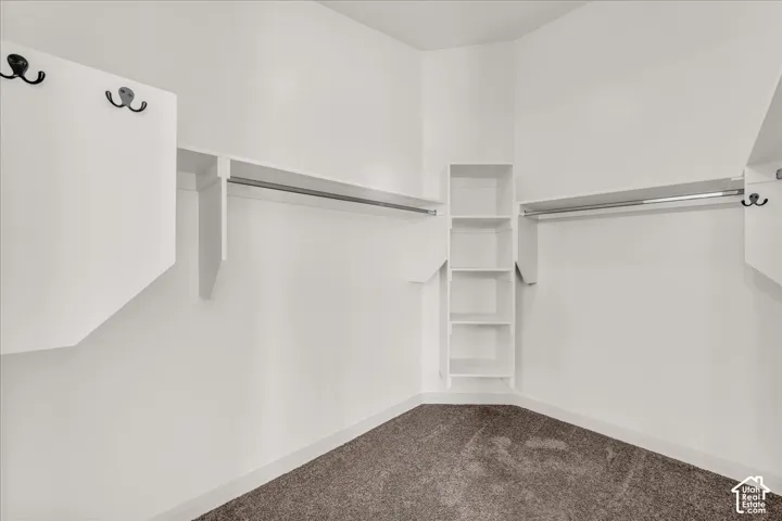 Walk-in closet featuring carpet flooring, built-in shelving, and dual hanging rods