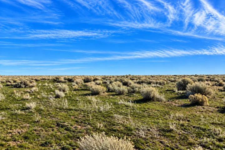Expansive land parcel featuring natural grasses and scattered shrubbery under an open sky