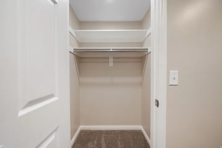 Built-in closet shelving and hanging rod with neutral carpeting