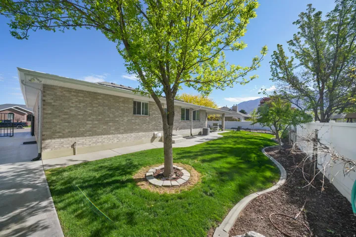 Expansive backyard featuring a manicured lawn, mature trees, and a concrete patio