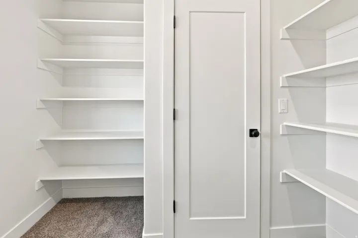 Built-in shelving, white paneled door, matte black hardware, and gray carpeted flooring