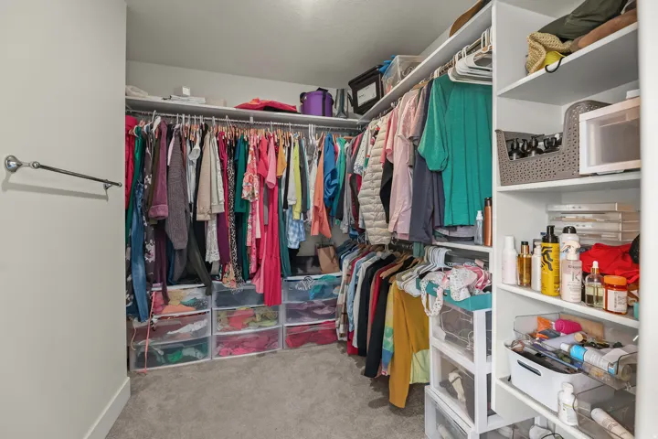 Walk-in closet featuring built-in shelving, carpet flooring, and integrated hanging rods