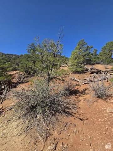 Beautiful Property Views!