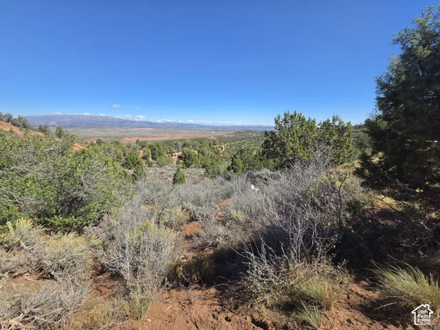 Beautiful Property Views!