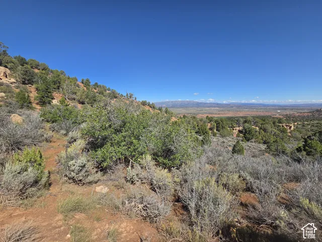Beautiful Property Views!