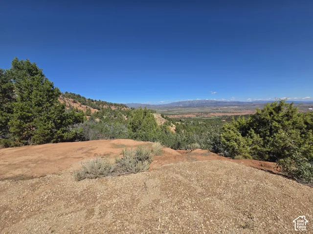 Beautiful Property Views!