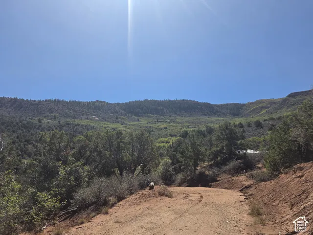 Enjoy these AMAZING views from the property!!