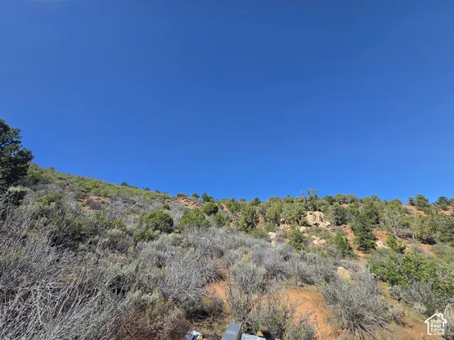 Beautiful Property Views!