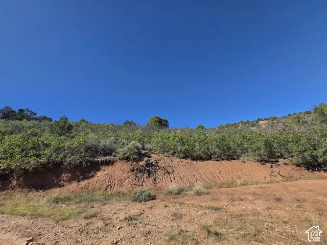 Beautiful Property Views!