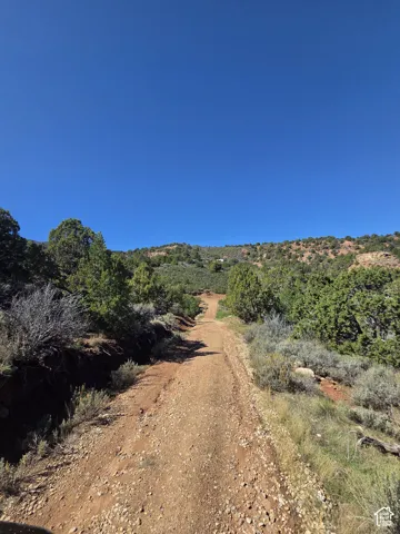 Driving on the road in!