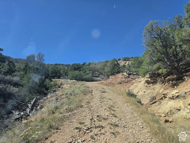 Beautiful Property Views!