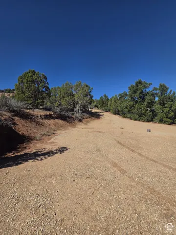Beautiful Property Views!