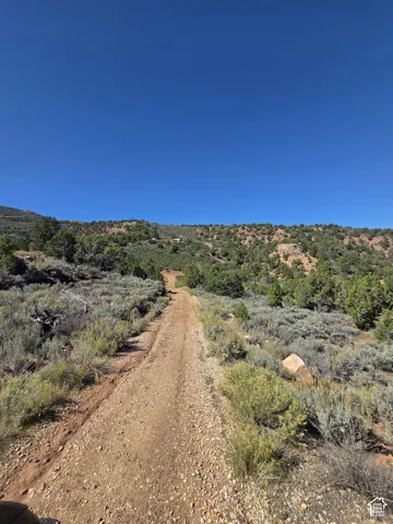 Driving on the road in!