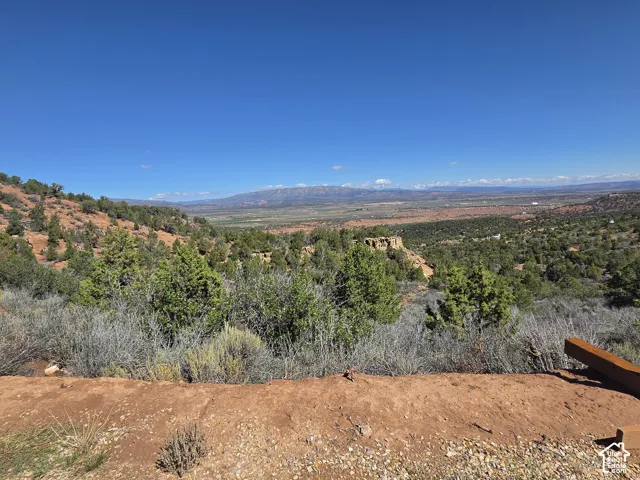 Enjoy these AMAZING views from the property!!
