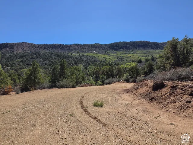 Beautiful Property Views!