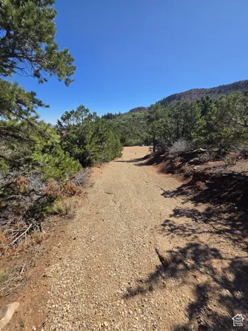 Beautiful Property Views!