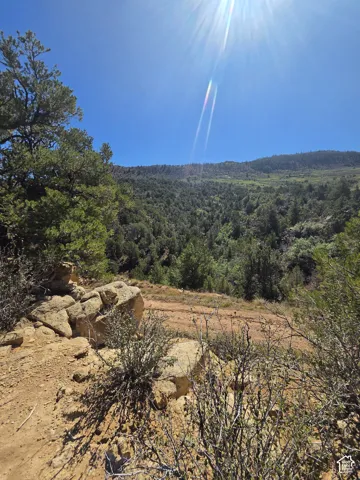 Beautiful Property Views!