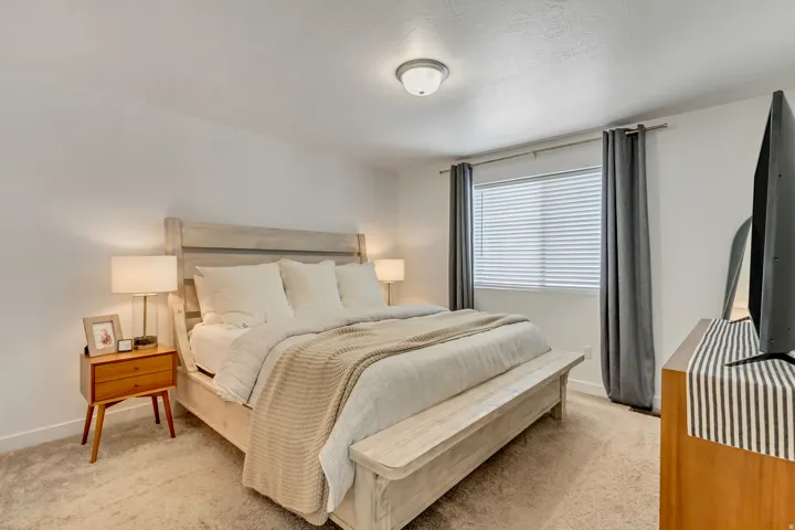 Carpeted flooring, window with blinds, ceiling-mounted light fixture, light-colored walls