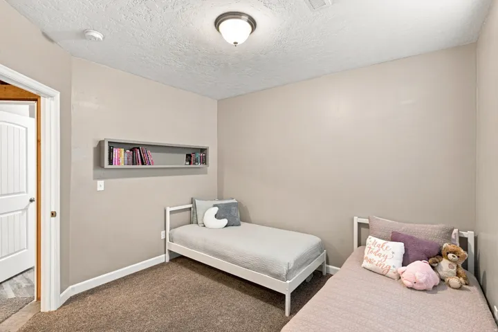Neutral tone walls with textured ceilings, recessed built-in shelving, carpet flooring, and a paneled interior door