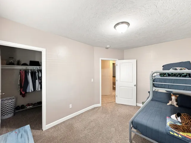 Neutral wall paint, plush carpet flooring, white trim, built-in closet shelving, and a white interior door