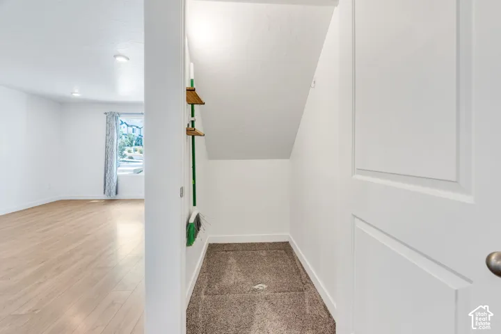 Carpeted under-stair storage area