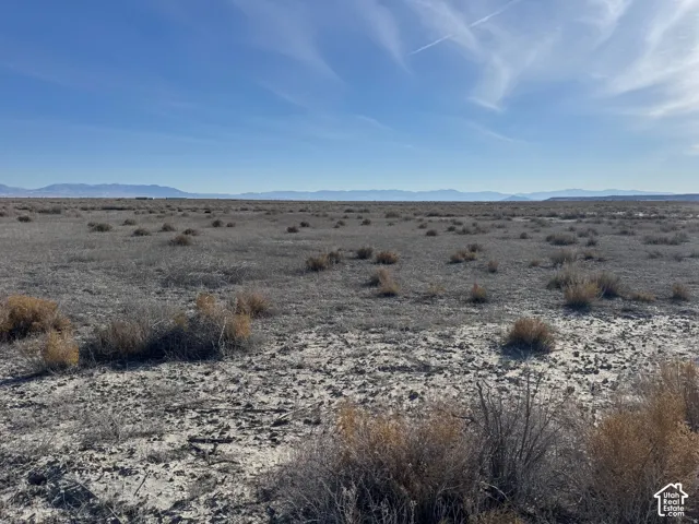 Expansive flat terrain with natural vegetation and distant mountain ranges