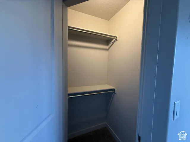 Built-in closet shelving, integrated hanging rods, and carpet flooring