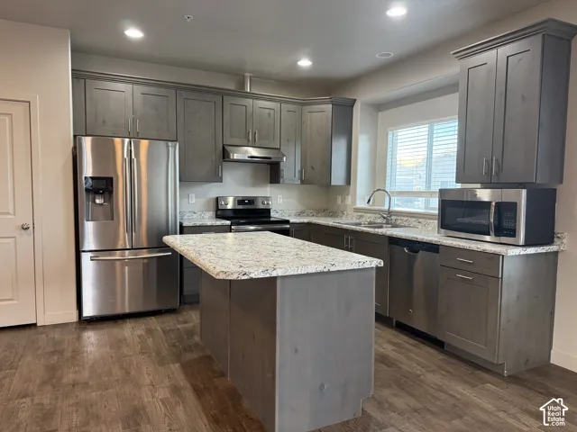 Kitchen featuring wood-finish flooring, gray cabinetry, stainless steel appliances, a kitchen island, and light-toned countertops