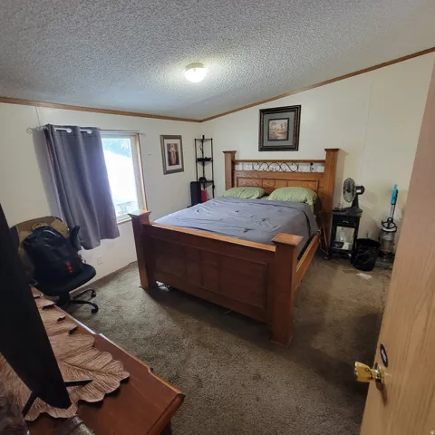 Carpeted flooring with a prominent window and a ceiling-mounted light fixture