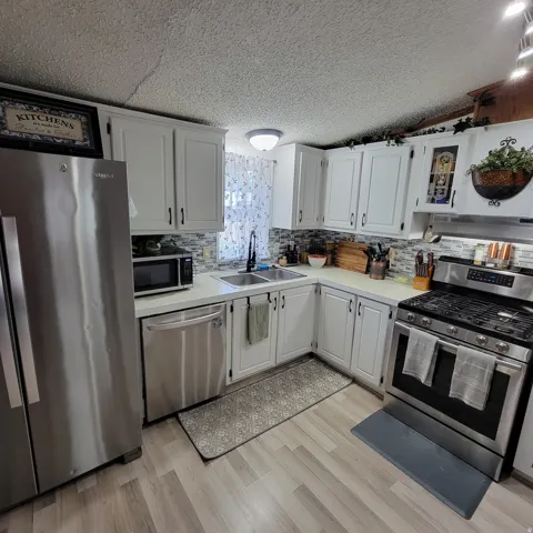 White cabinetry with dark hardware, stainless steel appliances, dual basin sink with black faucet, tiled backsplash, and wood-finish flooring