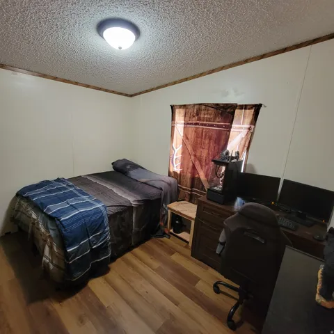 Wood-finish flooring with accent trim and a flush-mount ceiling light fixture