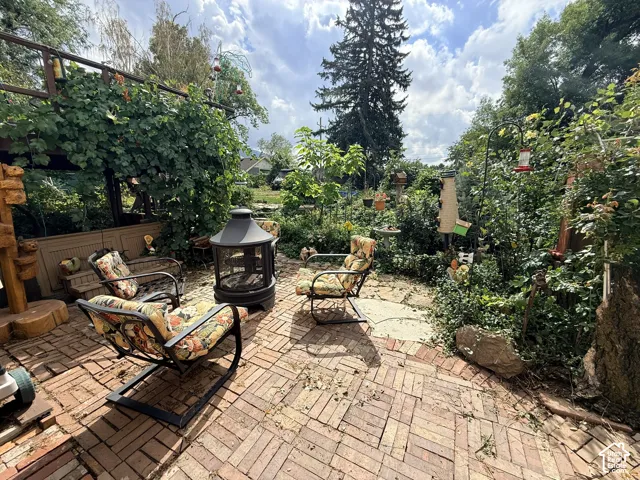 Expansive brick paver patio with mature landscaping and privacy hedging throughout