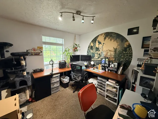 Carpeted room with a ceiling-mounted track light fixture, a window with horizontal blinds, and a built-in wall mural