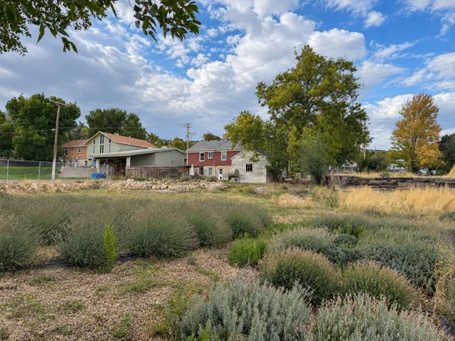Huge backyard with space for gardening, farming, additional storage, or building