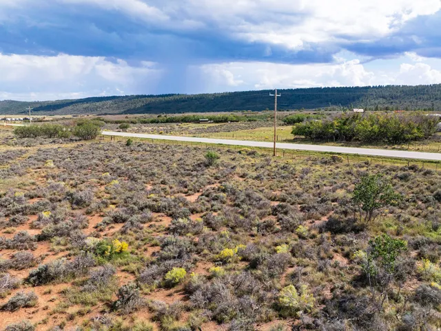 Expansive open land featuring natural vegetation, a paved road, and distant tree lines