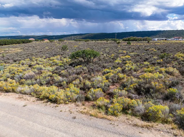Expansive natural landscape featuring varied shrubbery and visible dirt road access