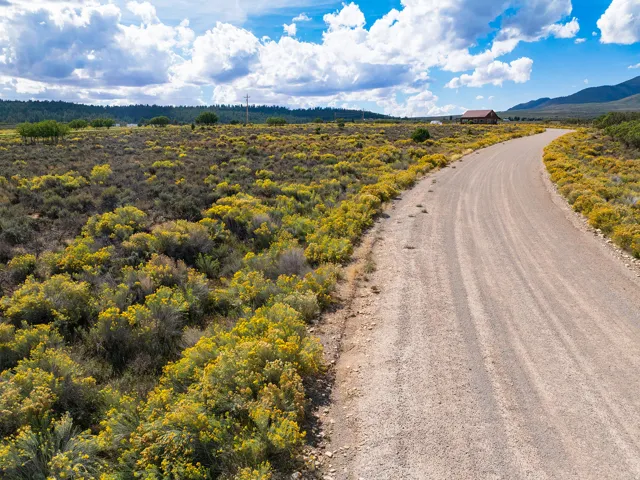 Gravel road with surrounding natural vegetation and distant hills