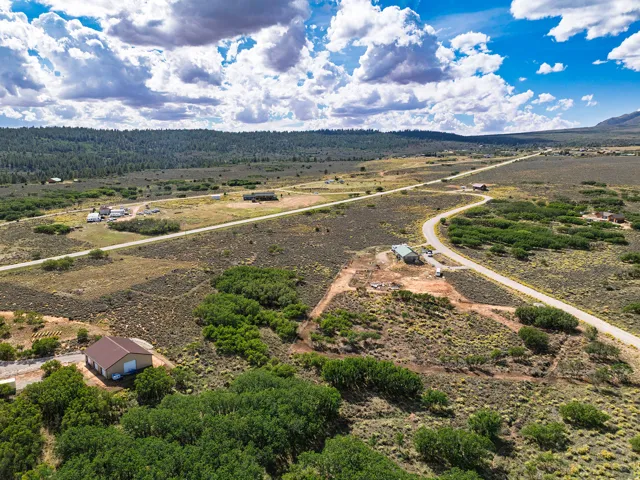 Expansive lot with varied terrain, including natural vegetation and established trees