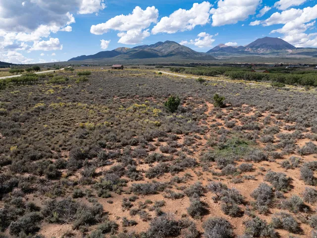 Expansive desert landscape with natural vegetation and distant mountain backdrop